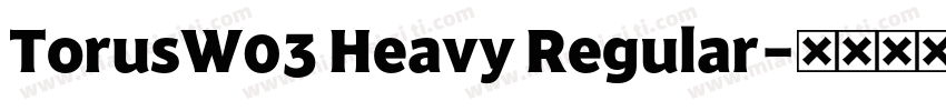 TorusW03 Heavy Regular字体转换